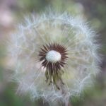 日本a级美竹铃在线观看 prkj1vm2o