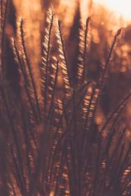 国产原创中文国产剧情片